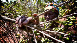 Masters of innovation