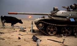 Livestock’s long shadow