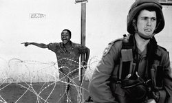 The good, the bad and the governance