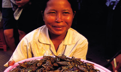 Negotiating the future of food and farming