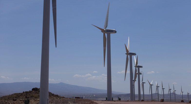 Exclusive inclusive business: tracing inclusivity among the Dutch private sector in Kenya