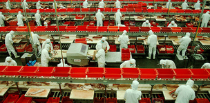 China's labour force stands up against repressive system