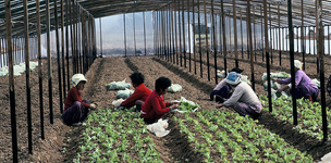 Strong membership organizations are necessary to fight inequality