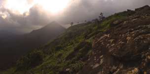 Bringing politics back in or taking politics out?