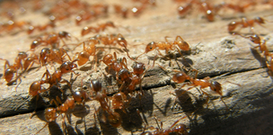 A new global partnership for a people-centred and planet-sensitive post-2015 agenda