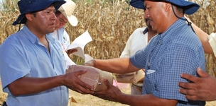 Development economics on the right track to address inequality