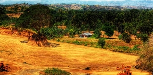 Sustainable Development, Vulnerability and Resilience