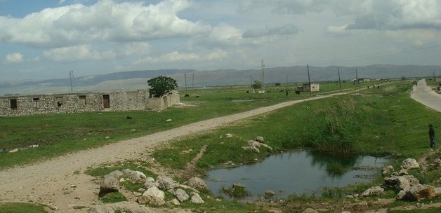 Food and Agriculture Organization of the United Nations