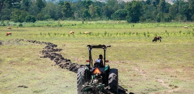  Alex Proimos / Untitled via flickr