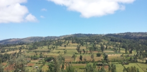 Medium-sized, mixed family farms to feed the future: A vision for farming in Africa 