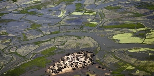 What are the connections between Africa's contemporary conflicts?