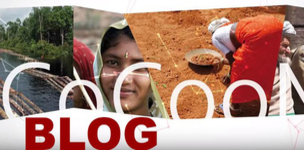 Embedding research in society from the start: The Broker reports on CoCooN