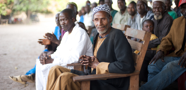 Elders / Photo by Julien Harnels / Via Flickr