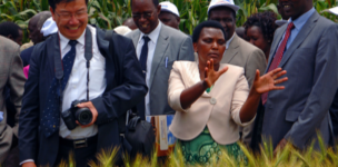 Investing in food security and agriculture: the changing landscape