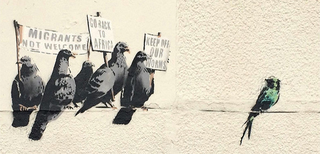 If UKIP were pigeons / Photo by Duncan Hull / Via Flickr