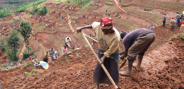 Women and men in northern Rwanda work on a public works site, building terraces to prevent soil erosion - by DFID