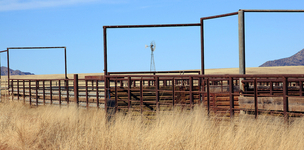 Building political commitment for the social enterprise