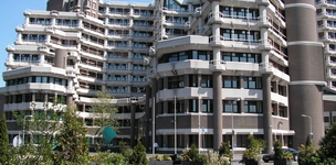 Dutch ministry throws the debate wide open