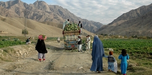 Ending hunger within a generation