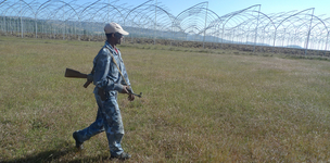 Governing the land rush in Africa 