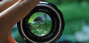 Sharpening the focus of a blurred landscape