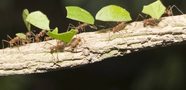 Jon Pinder / via flickr