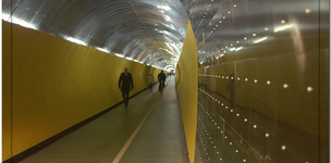 The emerging social enterprise