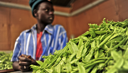 What's happening on our food security debates?