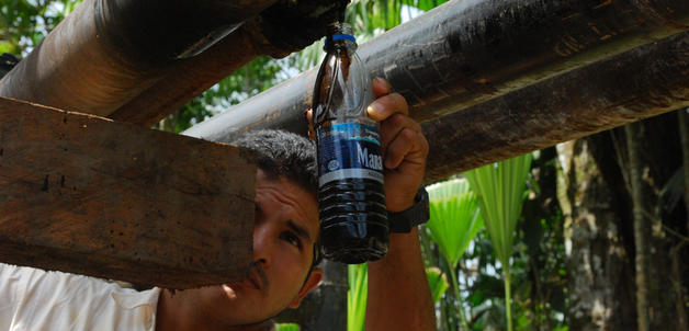 'Tabulation' / newmy51