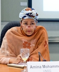 Mohammed Amina J.