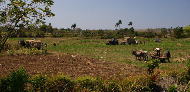 Paseo a campo traviesa desde Camajuaní hasta la villa de Vega de Palma, Cuba/ Lezumbalaberenjena, via Flickr