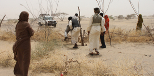 The Sahel, a complex cocktail of crime and politics 