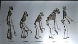 No need for more development models