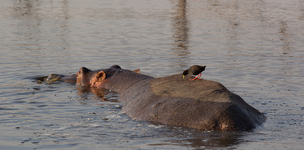 Not without the public sector