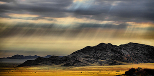 Aid at the donor’s command