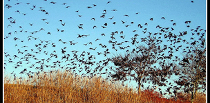 The migration and development debate redux