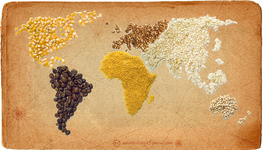 DGIS moet kennis eigen maken