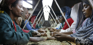 Creating more decent work for women