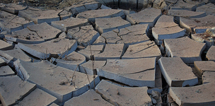 Debating the root causes of the African food crisis