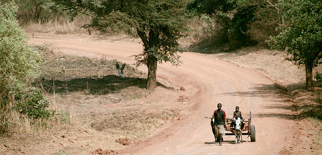 Photo by Bread of the World