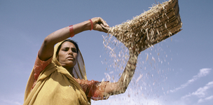 Investing for better nutrition: what does it mean?