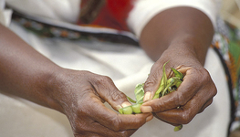 From issues to institutions