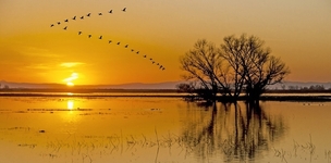 An unconventional World Banker