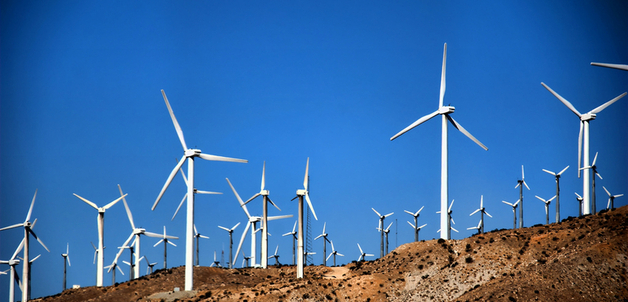 Photo by ...-Wink-...