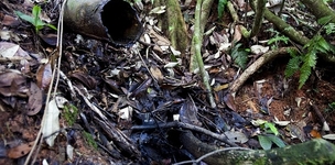 Taming capitalism through constitutional action?