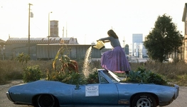 Visualising degrowth