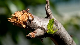 A discipline in search of boundaries