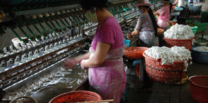 Challenging free trade theory