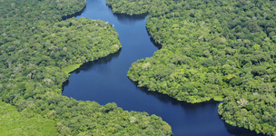 Post-2015: How to properly address biodiversity?