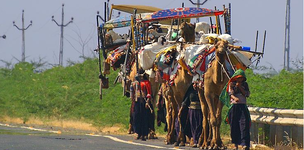 Taking the ‘high road’